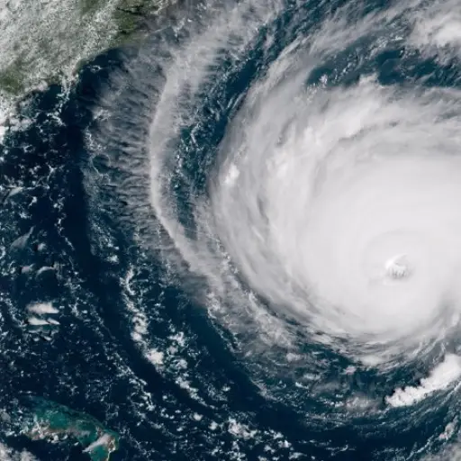 Twitter / @WRNAmbassadors