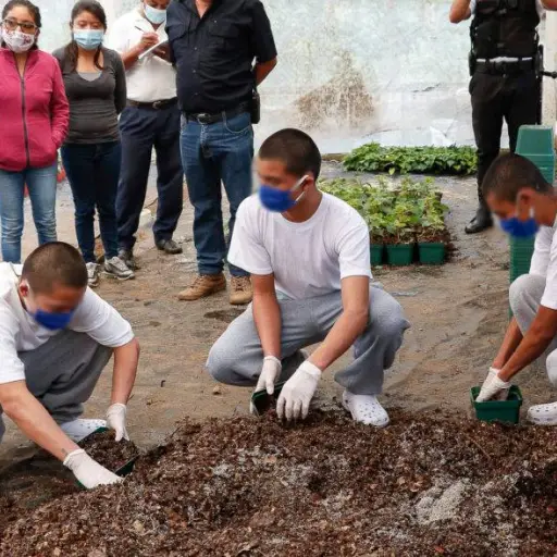 pascduaguatemalasbs ,