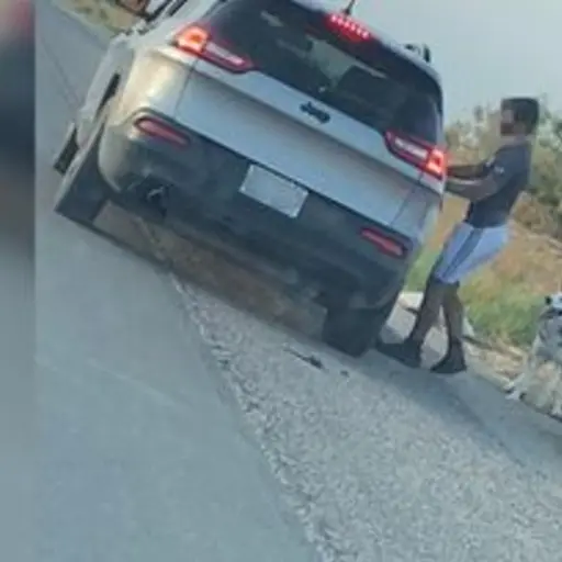 abandono-perro-el-paso-texas-eeuu ,