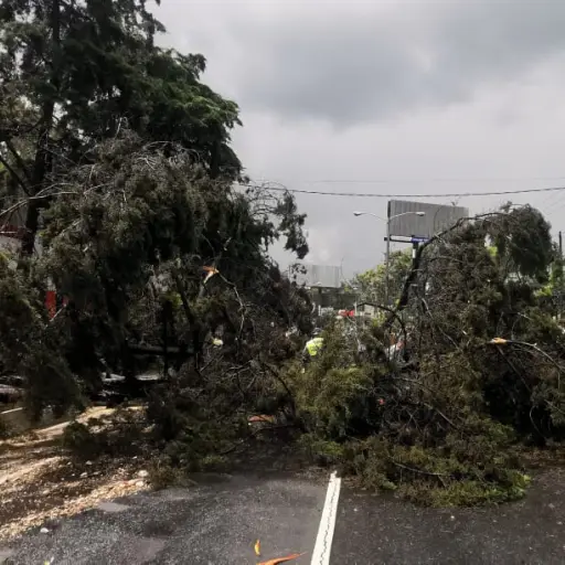 Municipalidad de Mixco