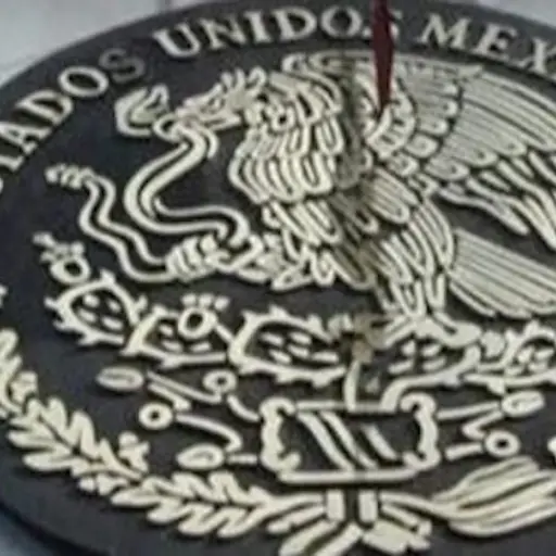 Autoridades mexicanas realizaron operativo. Foto: FGR