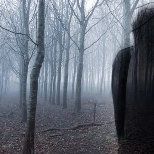 Senderos de terror paranormal ,