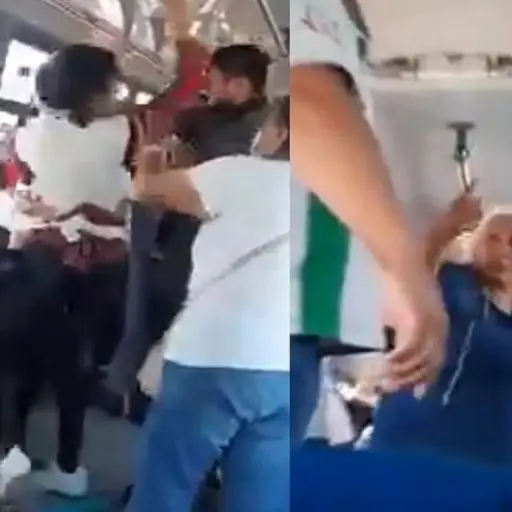 bus ,