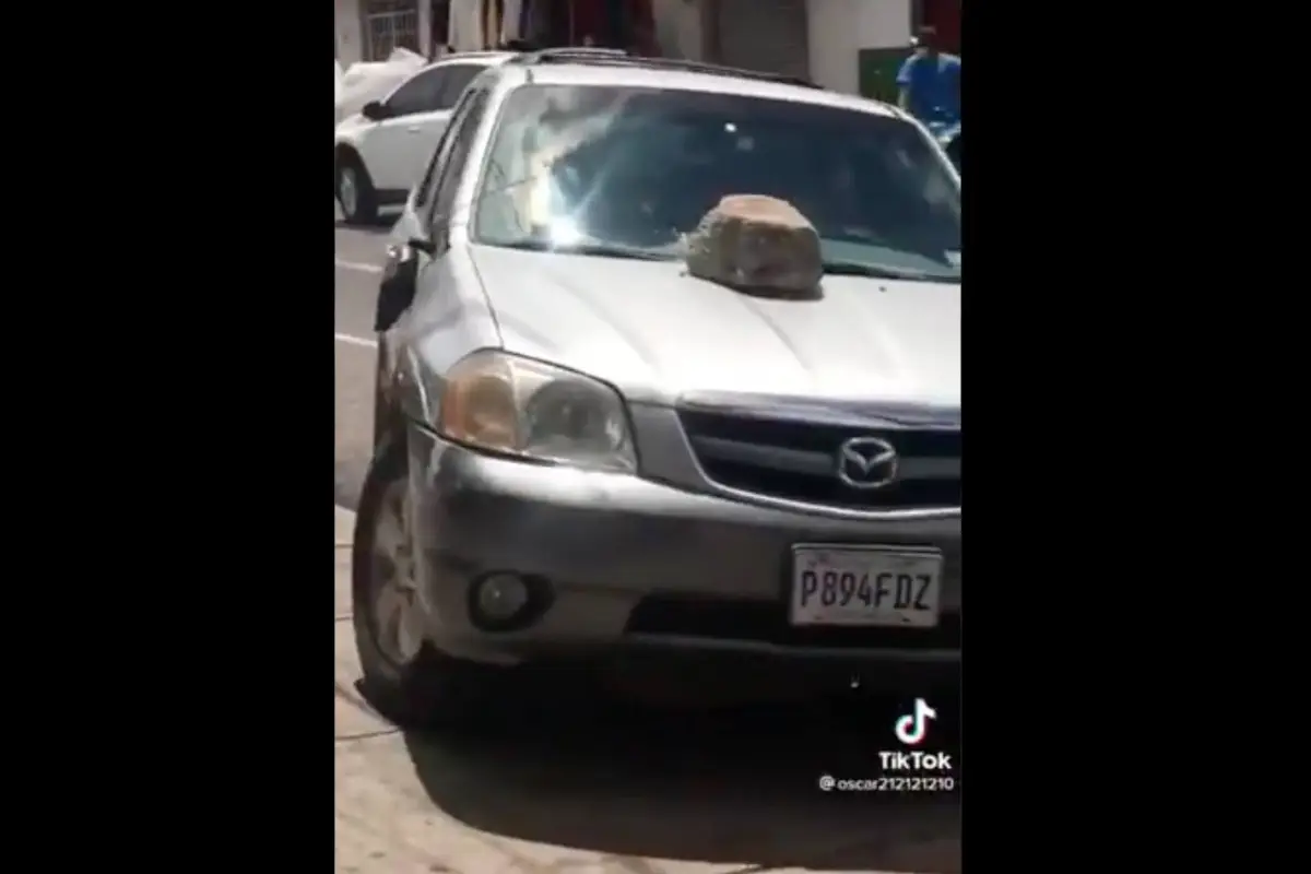 Foto: captura de video 