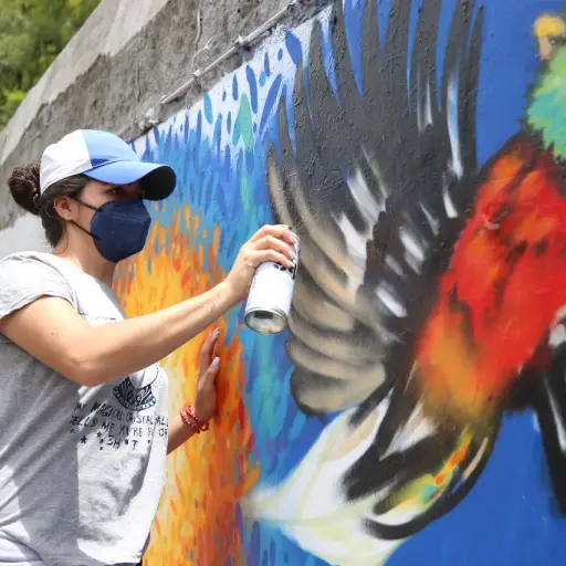 Festival de Graffiti ,