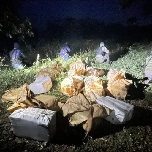 droga incautada por el ejercito en izabal domingo 5 septiembre 2021 (2) ,