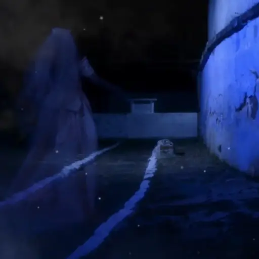 Municipalidad de Guatemala / Espectáculos Policromía