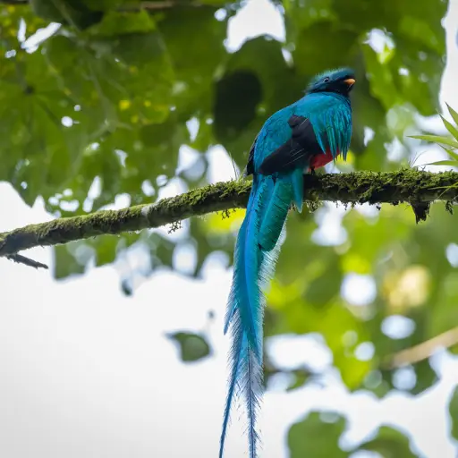 Fotografía: María José Lou. 