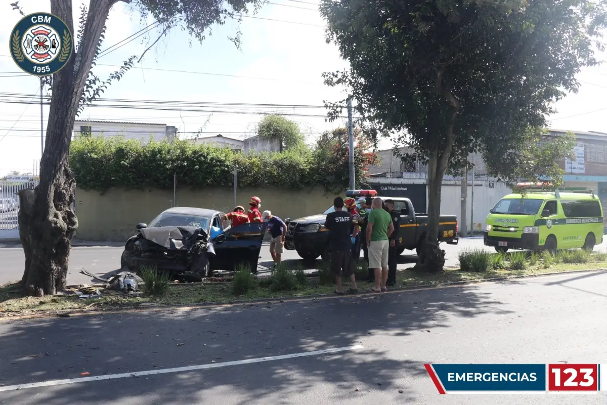 Conductora muere tras chocar contra un árbol en la zona 11 capitalina, 