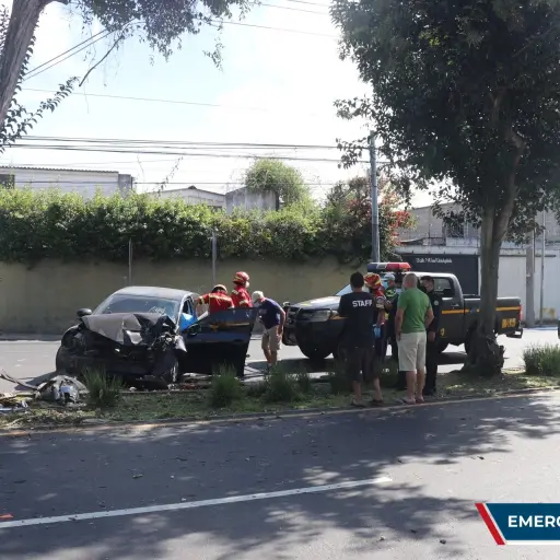 Conductora muere tras chocar contra un árbol en la zona 11 capitalina ,