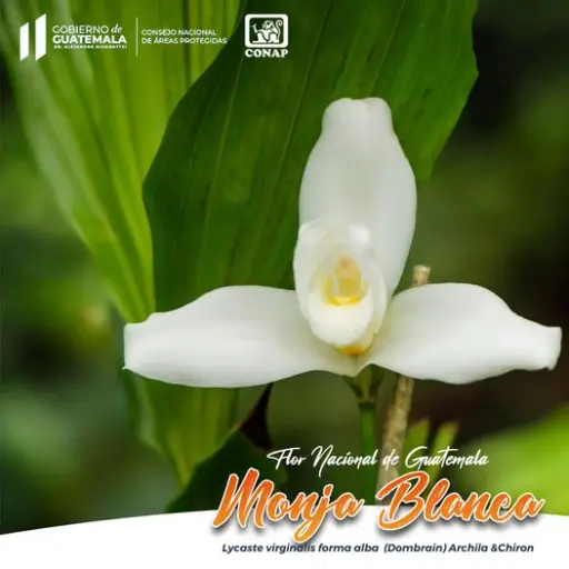 241824996_4335371963177898_3985102785732094879_n ,