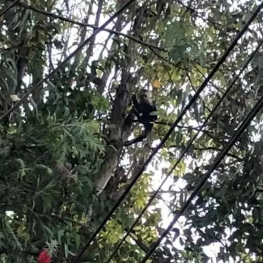 Foto: SomosZona6/Facebook. 