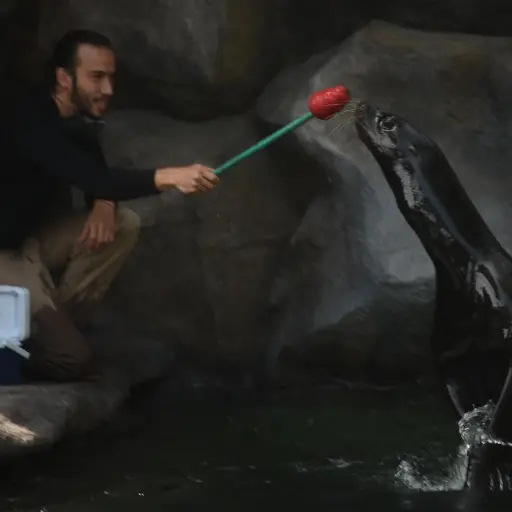 Foto: Edwin Bercián