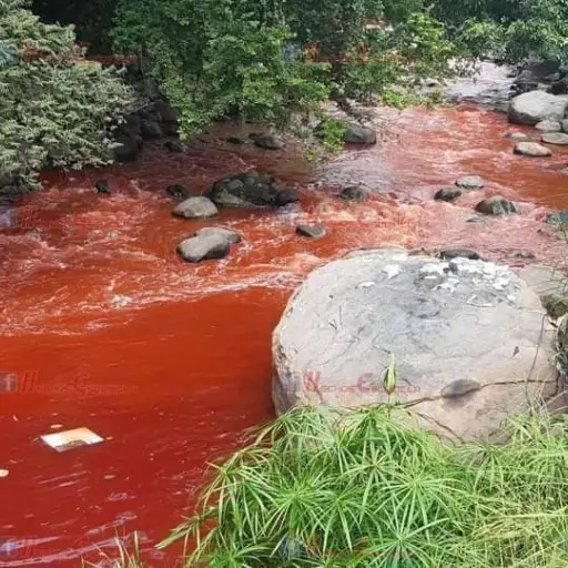 Foto: Hechos Escuintla 