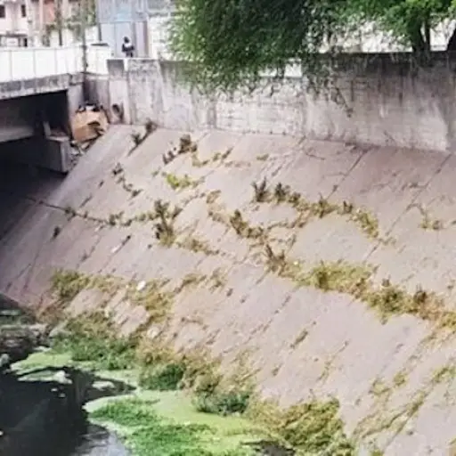 Foto: LAVOZ/Twitter. 