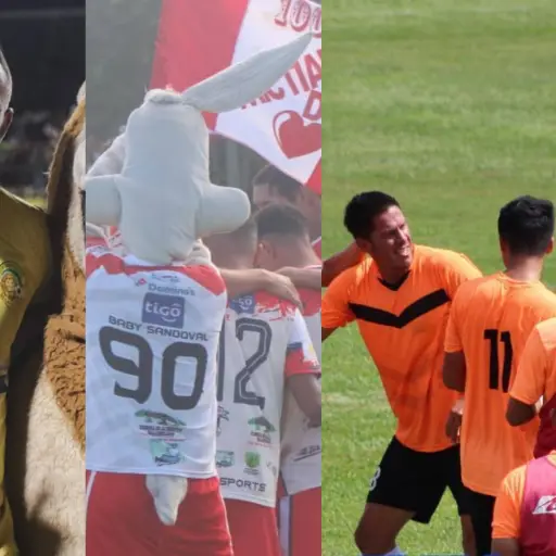 Semifinales primera división (1) ,