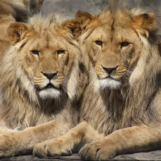 Imagen con fines ilustrativos | pixabay.com