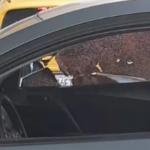 Foto: PMT capitalina