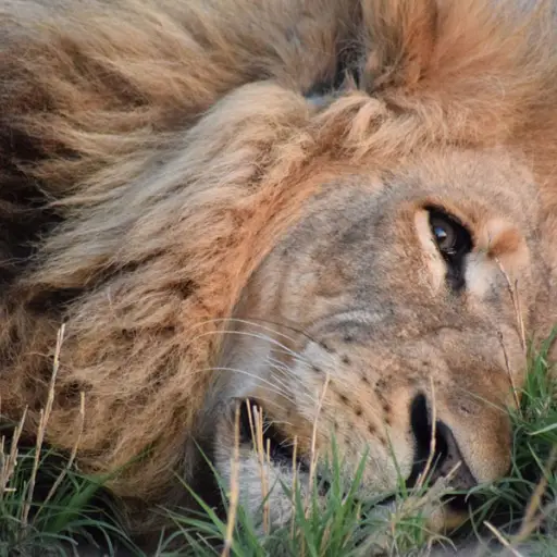 Foto con fines ilustrativos: Pixabay.com