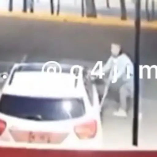 ladron-muletas-autopartes ,