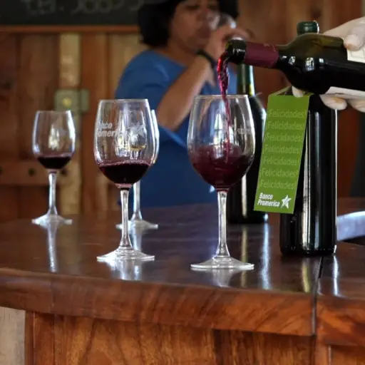 experiencia promerica 2 ,