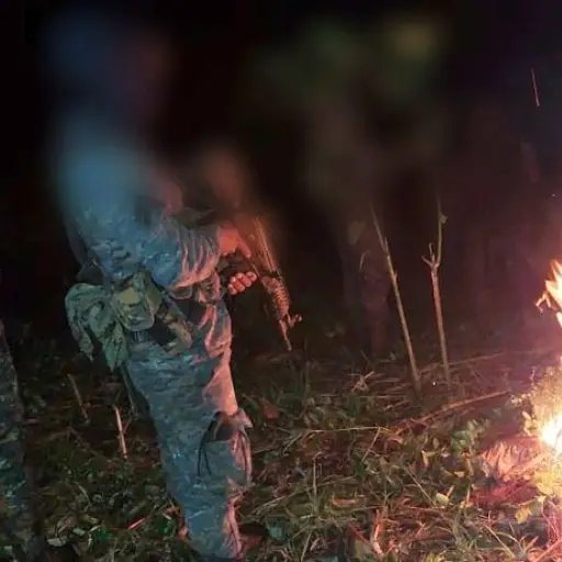 arbustos-coca-Peten ,