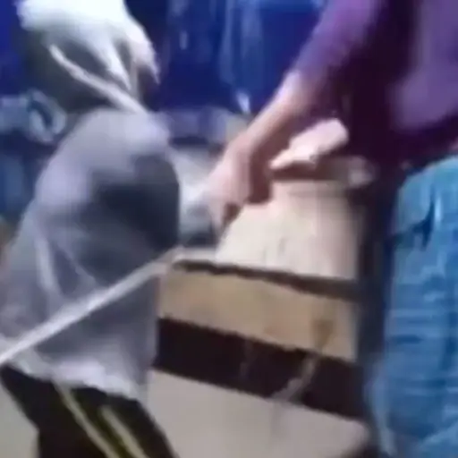 Foto: Captura de pantalla