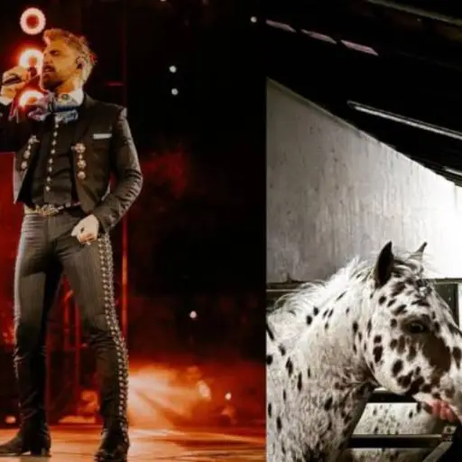 Alejandro Fernández Vicente Fernández ,