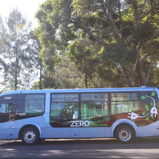 Foto: Municipalidad de Guatemala