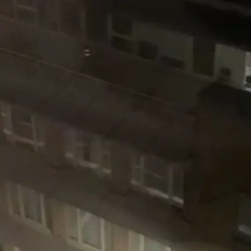 empleados-sexo-edificio-municipal- ,