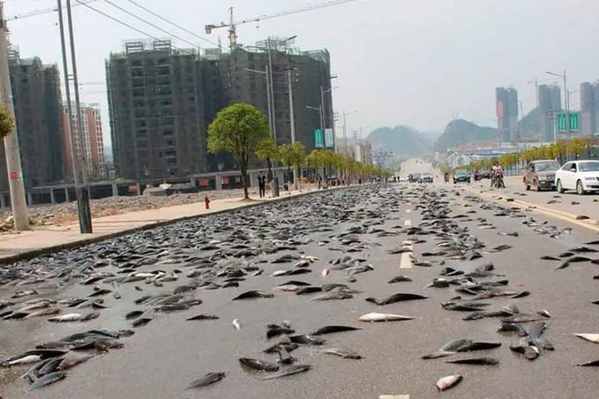 Foto: Publimetro Colombia. 