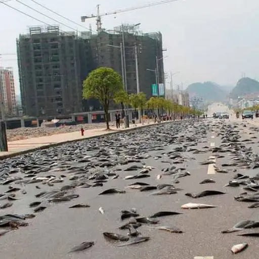 Foto: Publimetro Colombia. 