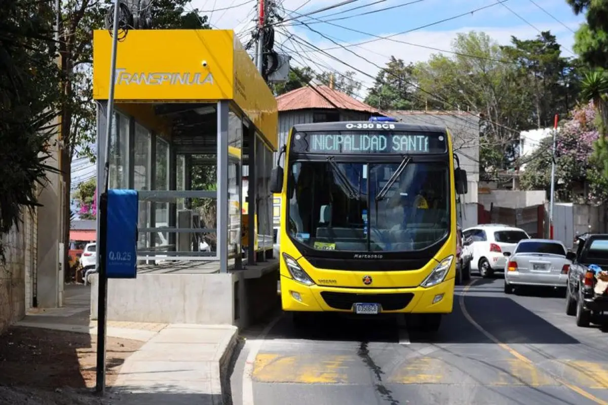 transpinula-servicio-transporte.jpg, 