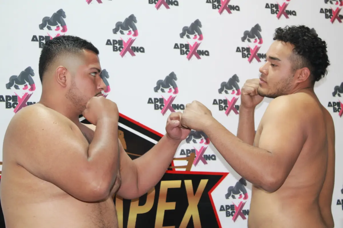 Foto: Apex Boxing