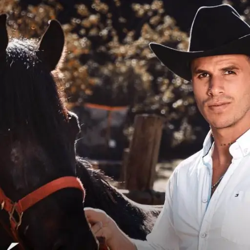 Ale Mendoza Cómo te saco de adentro ,