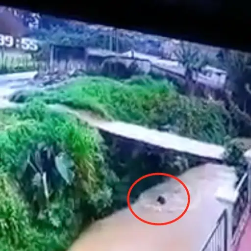 Captura de pantalla video. 