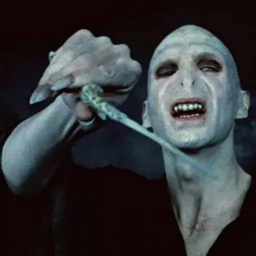  Lord Voldemort