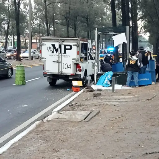 Foto: PMT capitalina