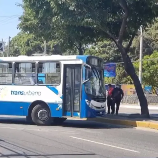 Foto: PMT capitalina