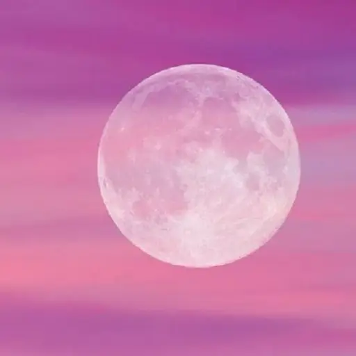 Imagen con fines ilustrativos | pixabay.com