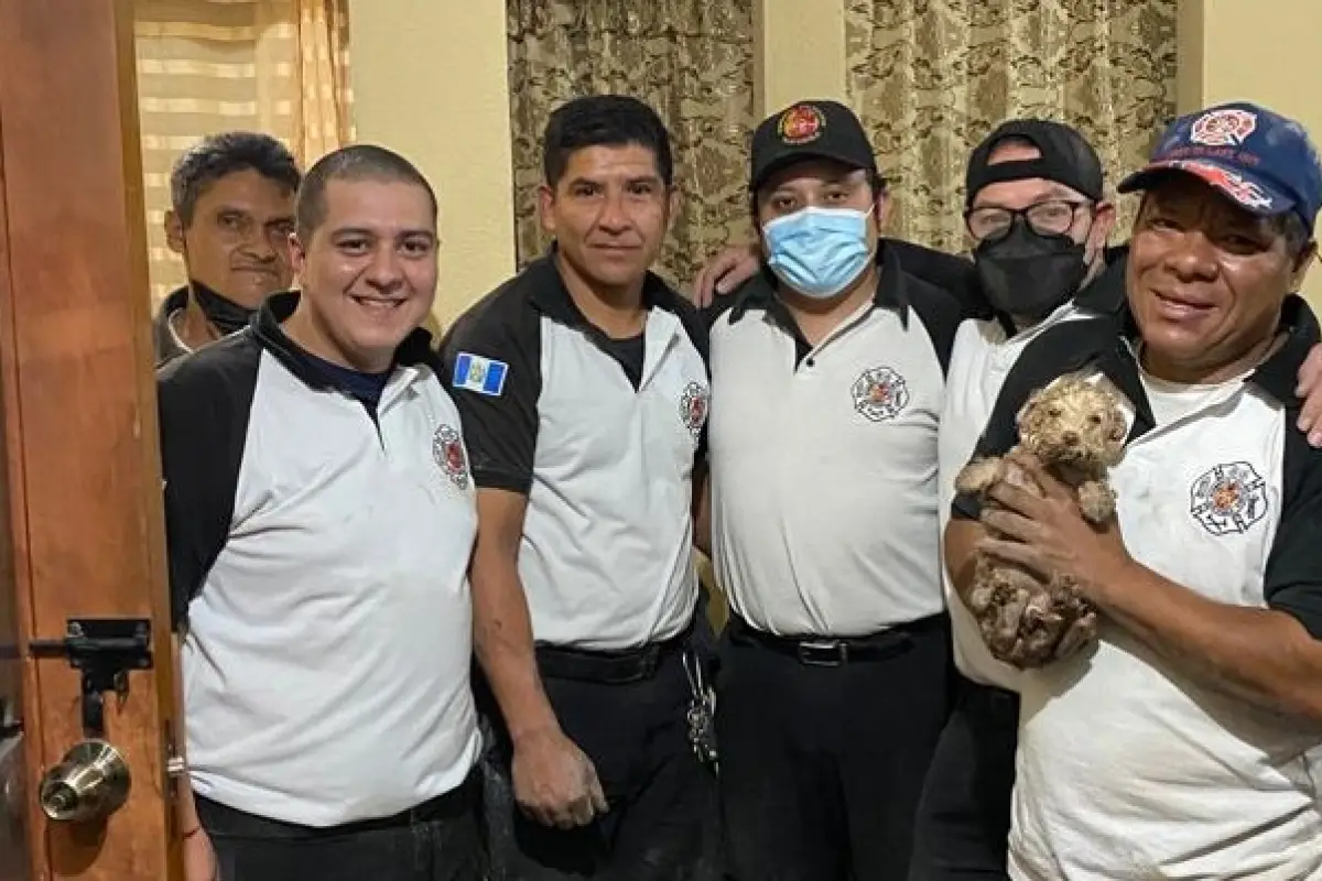 bomberos voluntarios rescatan a perrito, 