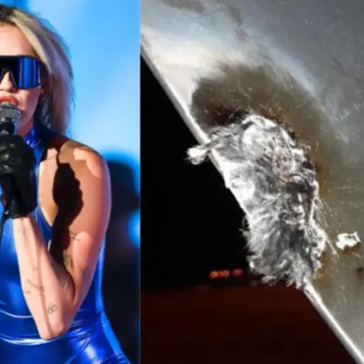 Miley Cyrys avión Paraguay ,