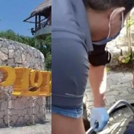 Captura de pantalla video. 