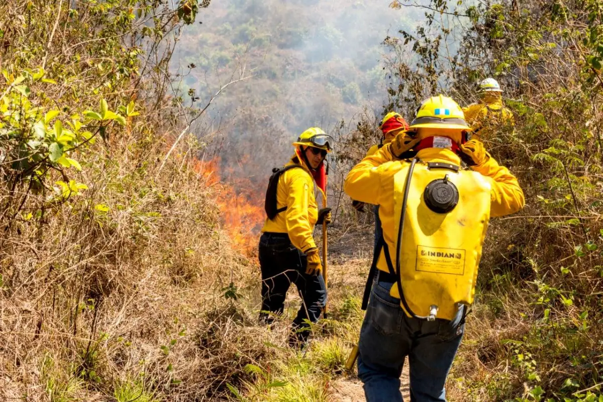 amenazas y consecuencias de incendios forestales en guatemala foto conred temporada 2022, 