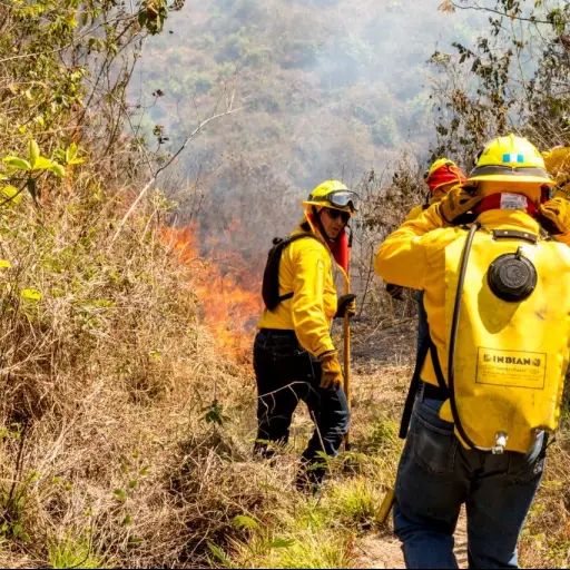 amenazas y consecuencias de incendios forestales en guatemala foto conred temporada 2022 ,