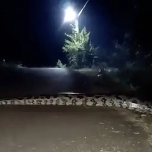 Captan a Boa gigante en Atlapexco ,