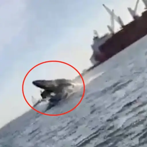 Captura de pantalla video de Twitter. 