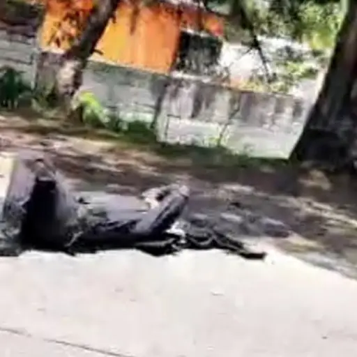 Captura de pantalla video. 