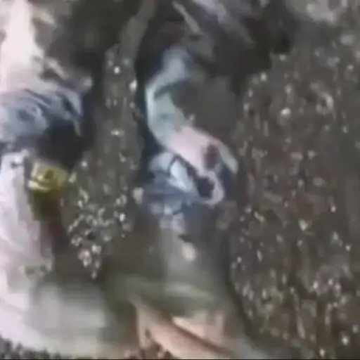 Captura de pantalla video. 