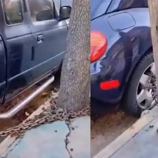 Captura de pantalla video. 